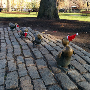 La famille canard du Jardin Public